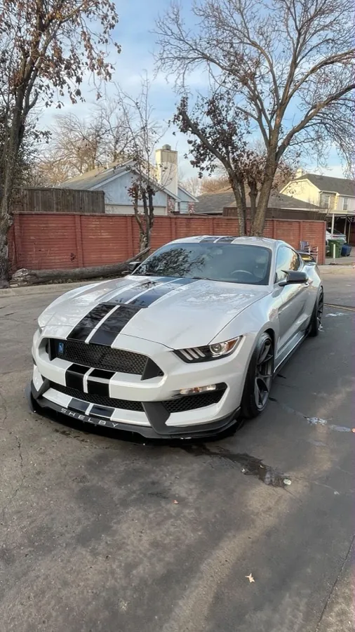 Magic Bubble Hand Car Wash — Ford Mustang Shelby GT350